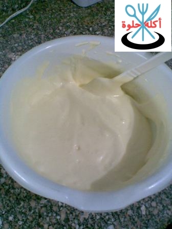 swissroll ss4