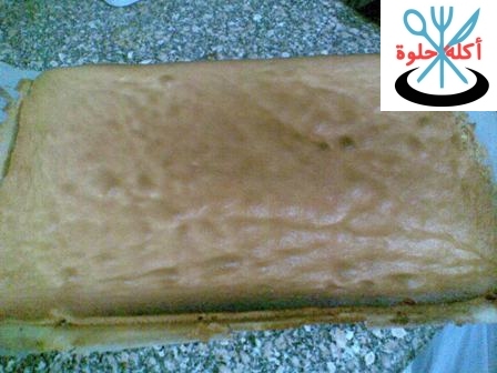 swissroll ss6