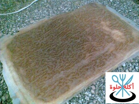 swissroll ss9
