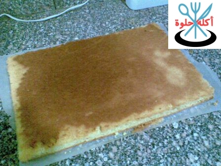 swissroll ss10