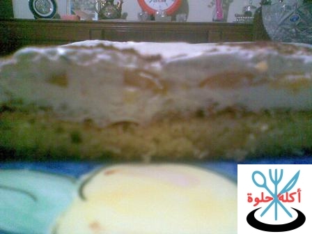 cheese cake ch11