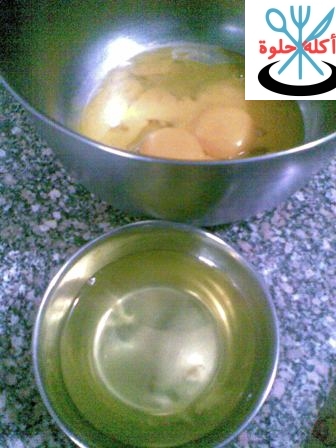 eggs lem5