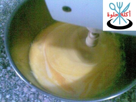 filling lem7